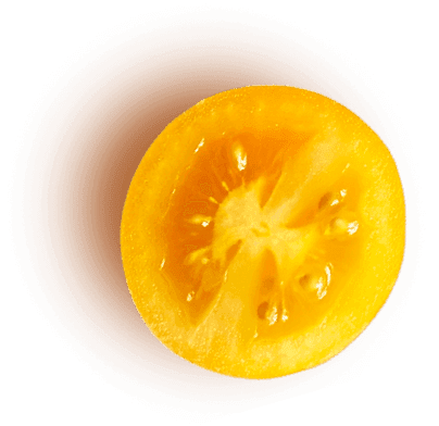 Dreamplate app feature side tomato 1